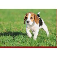 Personalized Coral Fleece Bath Mat Thumbnail