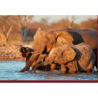 Personalized Coral Fleece Bath Mat Thumbnail