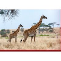 Personalized Coral Fleece Bath Mat Thumbnail