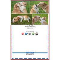 Personalized Custom Photo Collage Kitchen Towel 11"x18" Thumbnail